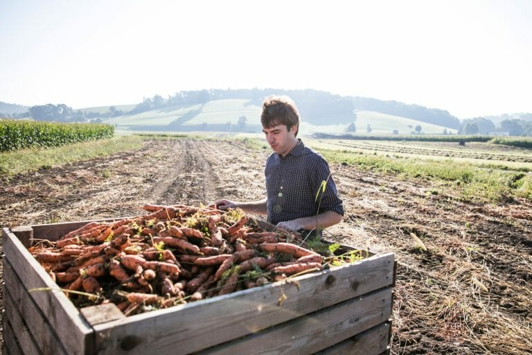Biobauer Bio Lutz auf dem Feld mit Karottenkiste