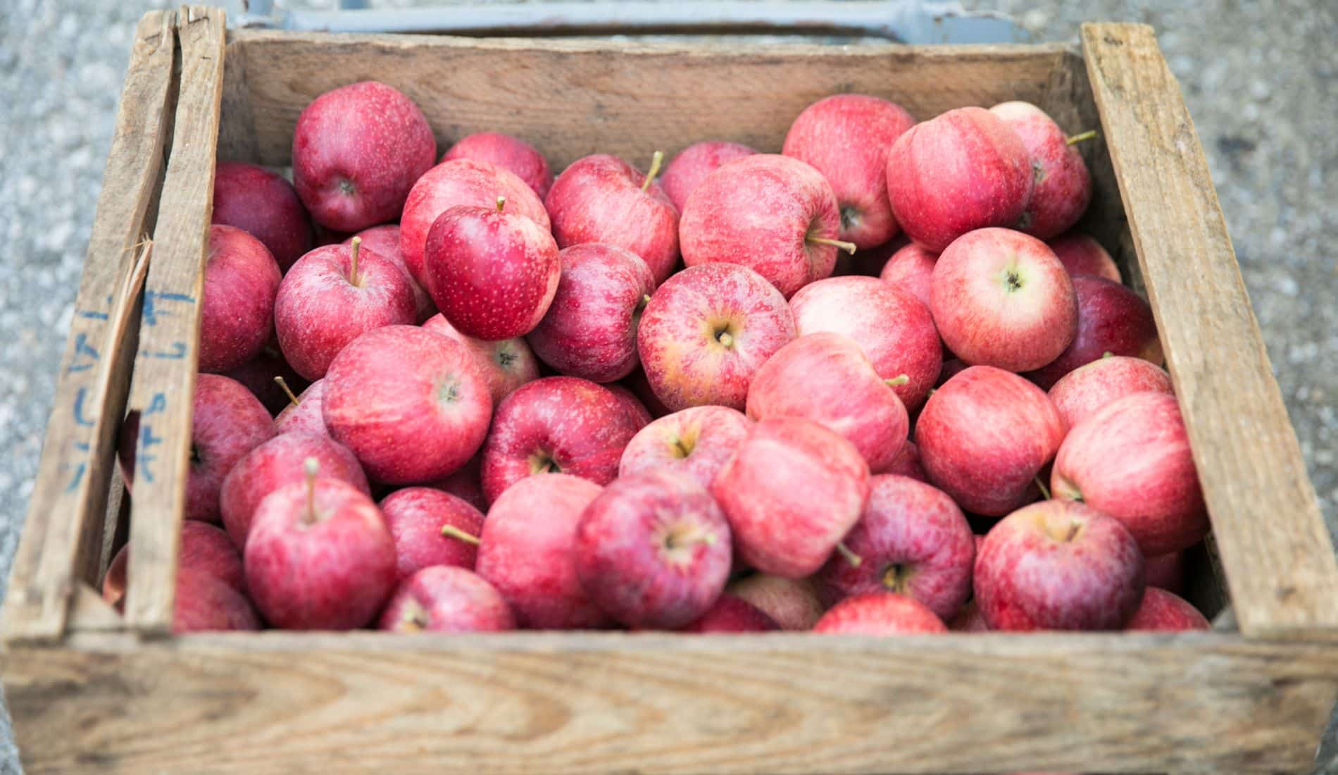 Bio Äpfel aus der Steiermark in einer Holzkiste