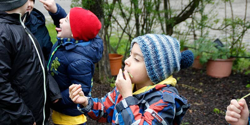Kinder verkosten Kräuter