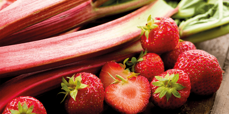 Das süße Gemüse Rhabarber passt hervorragend zu Erdbeeren.