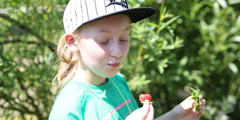 Mädchen isst genussvoll eine Erdbeere im Freien