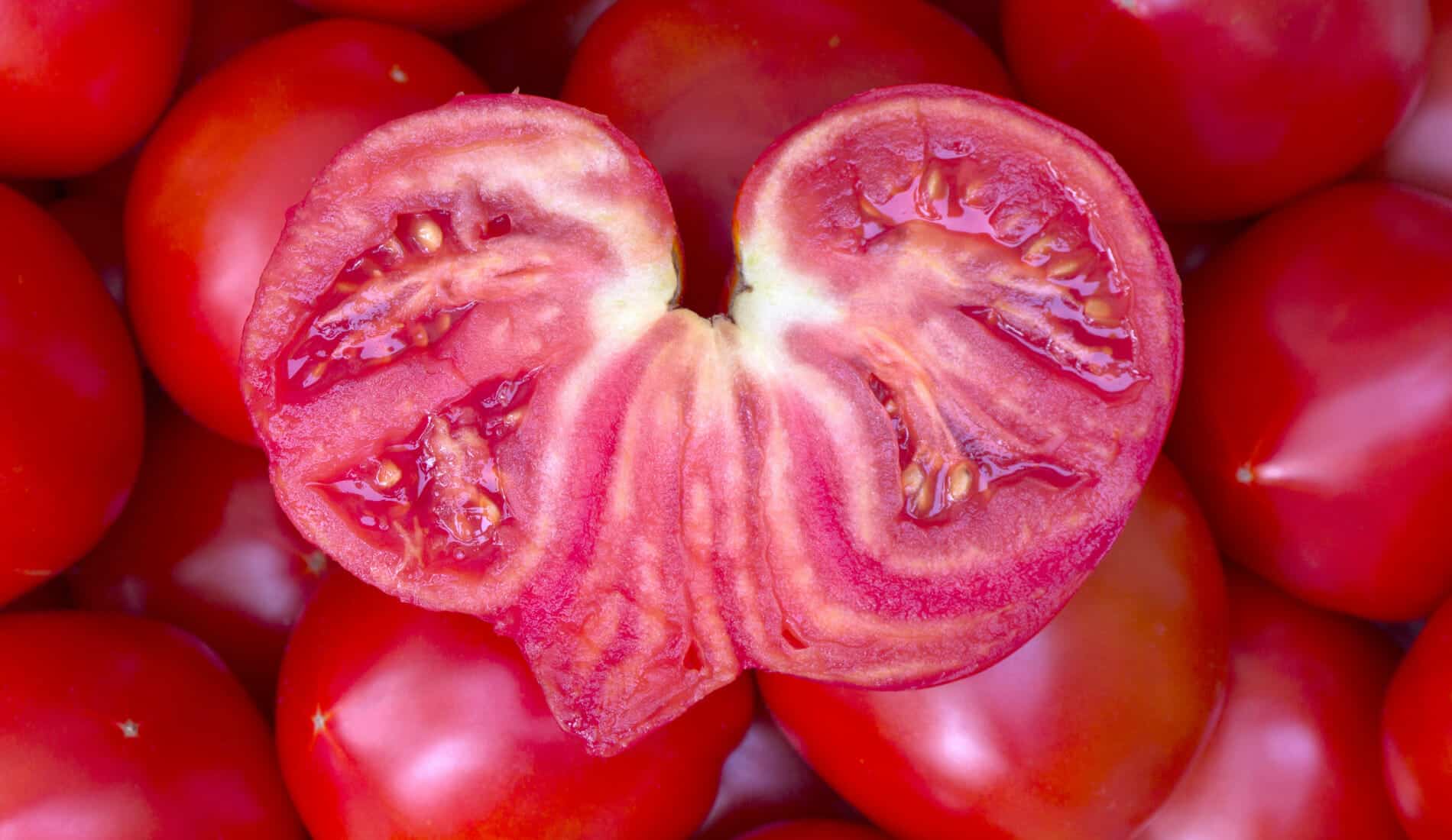 Herzförmige Tomate